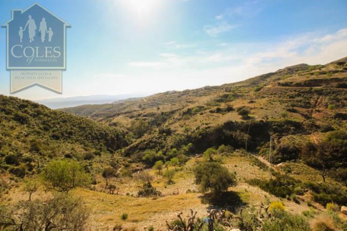 Image No.31-Cortijo de 4 chambres à vendre à Bédar