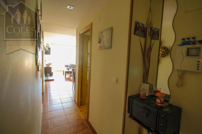 Image No.5-3 Bed Apartment for sale