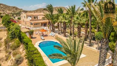 Villa / Détaché de 4 chambres à vendre à Vera