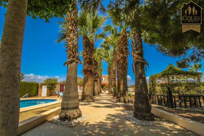 Image No.12-Villa / Détaché de 4 chambres à vendre à Vera