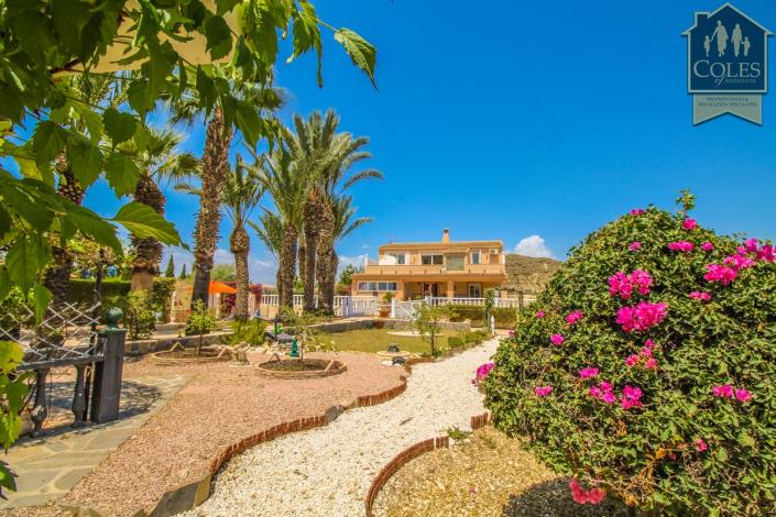 Image No.13-Villa / Détaché de 4 chambres à vendre à Vera