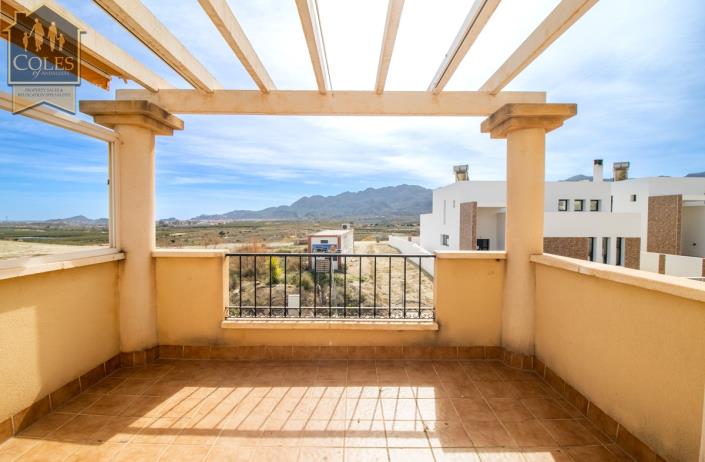 Image No.25-2 Bed Apartment for sale