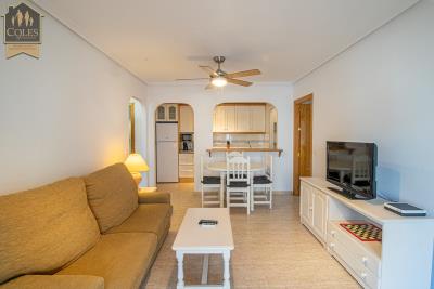 VER2A58Web-05