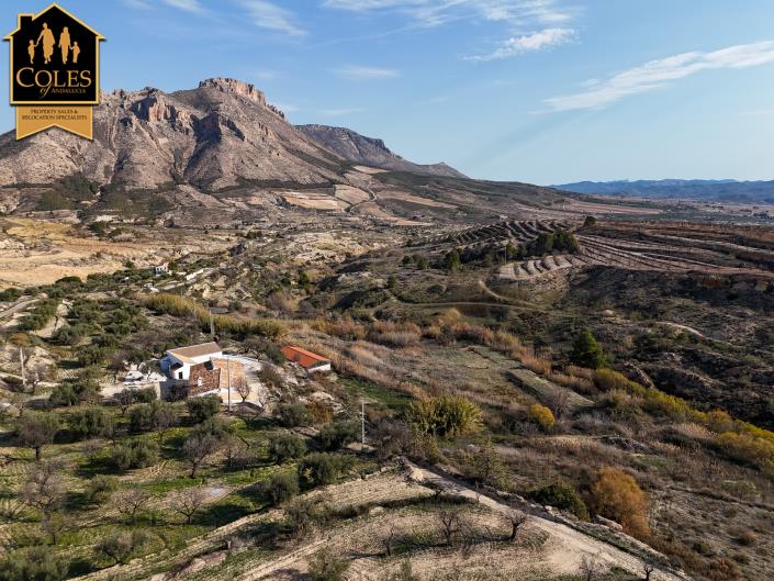 Image No.51-7 Bed Cortijo for sale