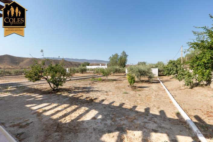 Image No.3-Villa / Détaché de 3 chambres à vendre à Tabernas