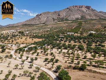 Cole's of Andalucia most sold property