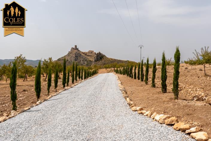 Image No.54-Cortijo de 5 chambres à vendre à Lorca