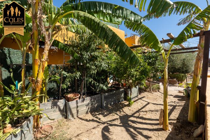 Image No.24-Villa de 3 chambres à vendre à Los Gallardos