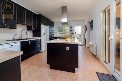 PIN4V06Image00009