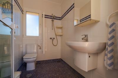 PIN4V06Image00015