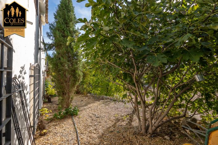 Image No.33-Cortijo de 3 chambres à vendre à Arboleas