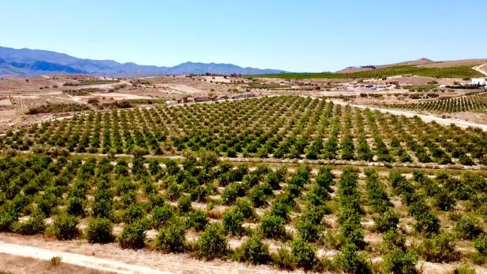 Image No.46-3 Bed Villa / Detached for sale