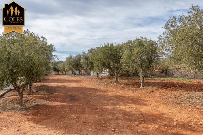 Image No.13-2 Bed Villa / Detached for sale