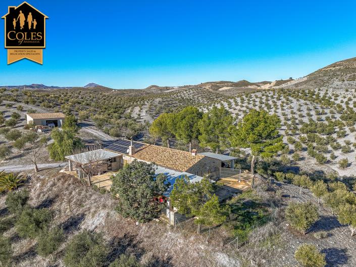 Image No.3-4 Bed Villa / Detached for sale