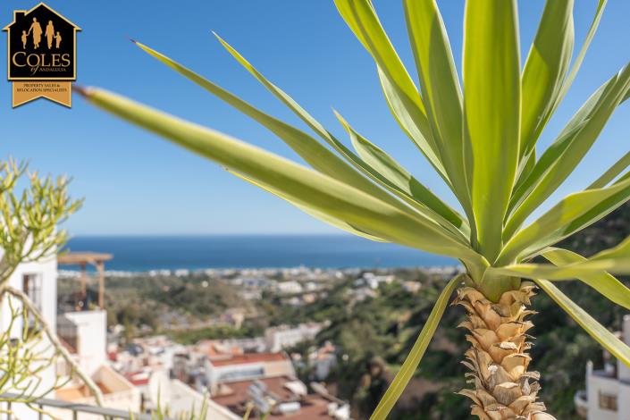 Image No.26-1 Bed Apartment for sale