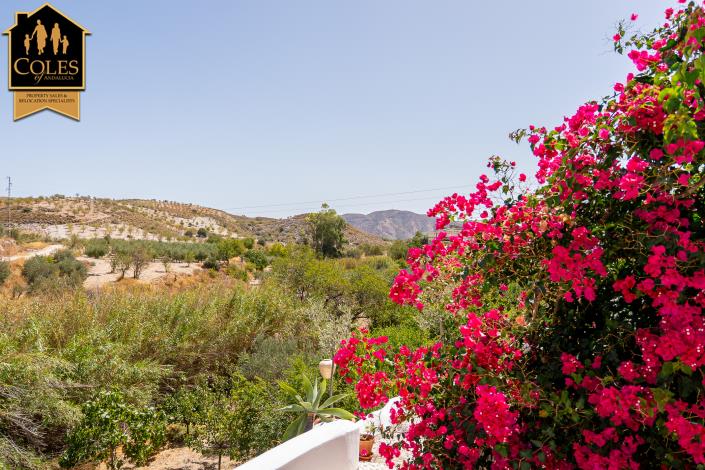 Image No.8-4 Bed Cortijo for sale