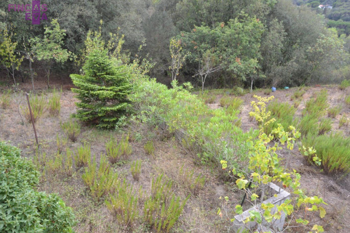 Image No.13-4 Bed Property for sale