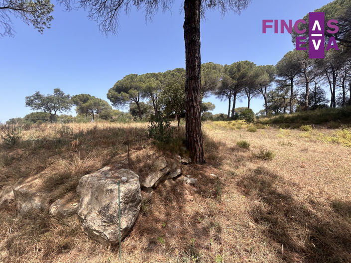 Image No.14-Property for sale