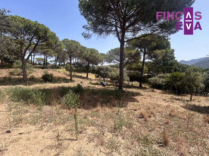 Image No.21-Property for sale