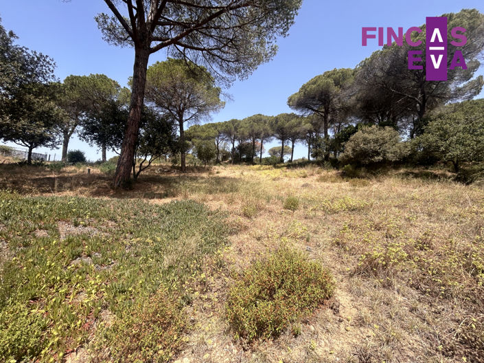 Image No.6-Property for sale