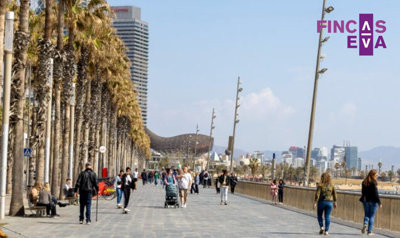 1 - Barcelona, Propriété