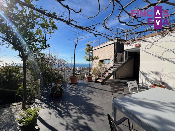 Image No.22-Propriété de 4 chambres à vendre à Teia