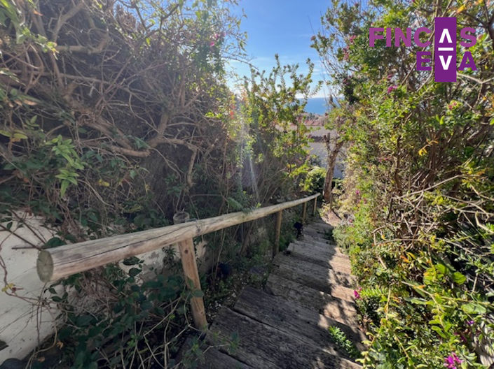 Image No.28-Propriété de 4 chambres à vendre à Teia