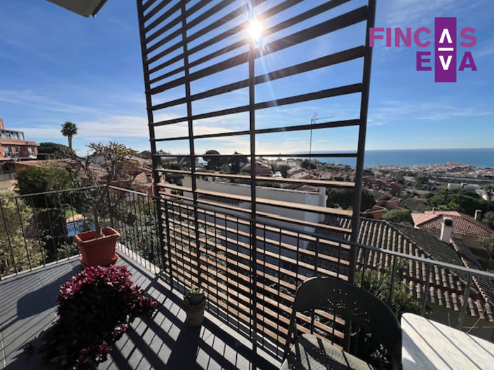 Image No.6-Propriété de 4 chambres à vendre à Teia