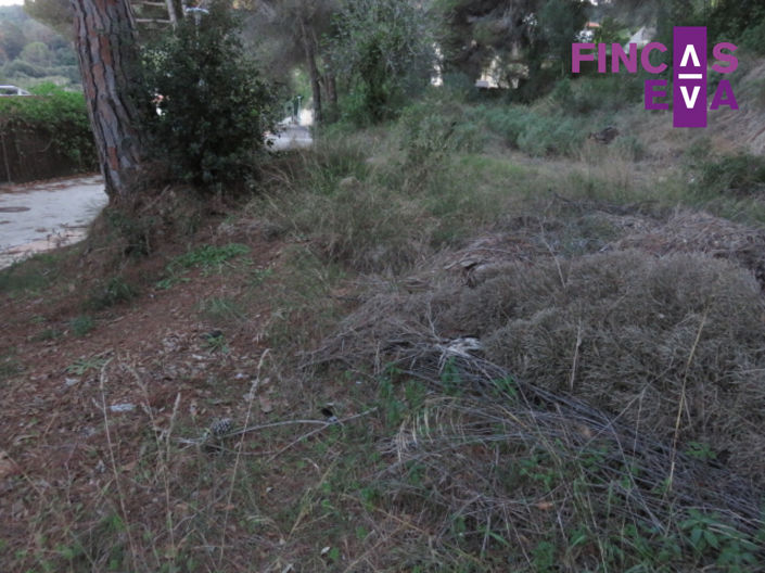 Image No.4-Propriété à vendre à Vallromanes