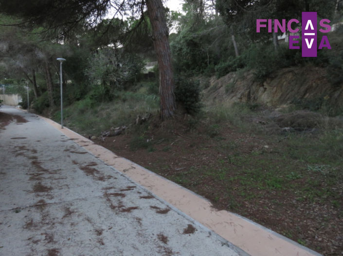 Image No.5-Propriété à vendre à Vallromanes