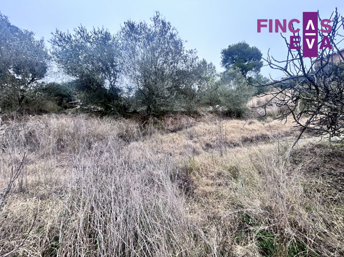 Image No.8-Propriété à vendre à Barcelona