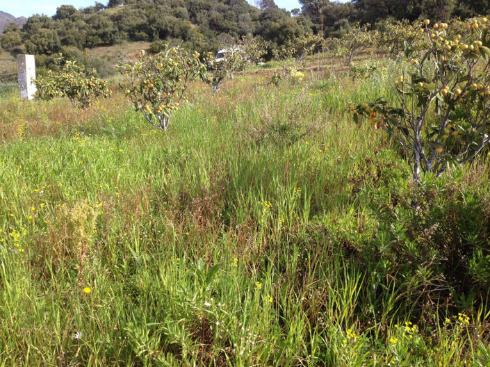 Image No.11-Property for sale