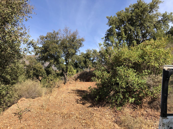 Image No.12-Property for sale