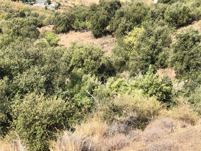 Image No.14-Property for sale