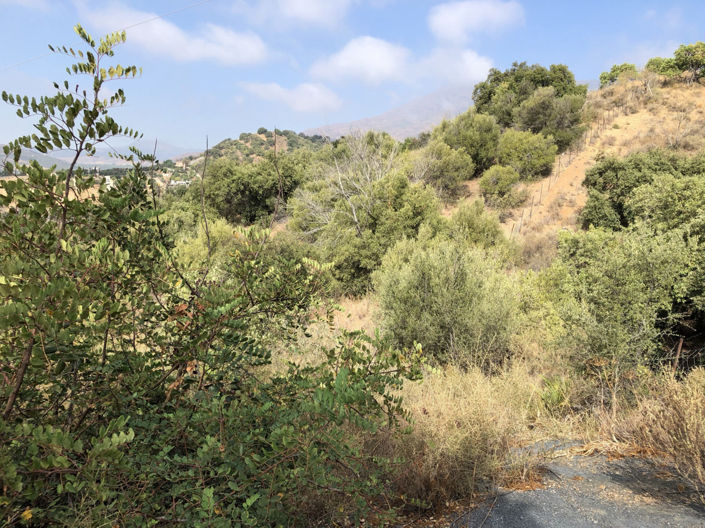 Image No.16-Property for sale