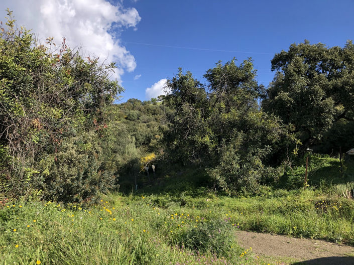 Image No.17-Property for sale