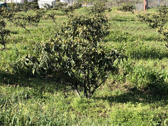 Image No.18-Property for sale