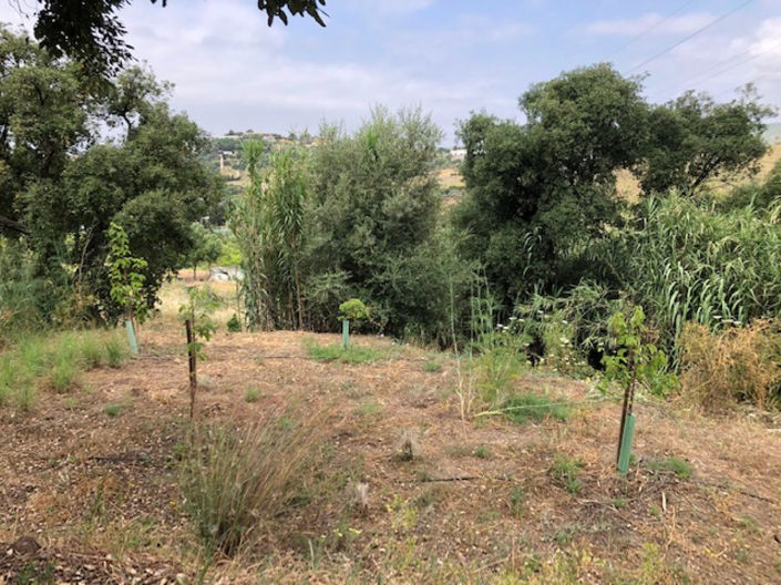 Image No.19-Property for sale