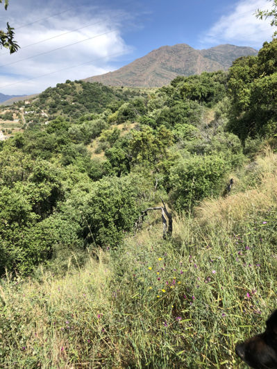 Image No.23-Property for sale