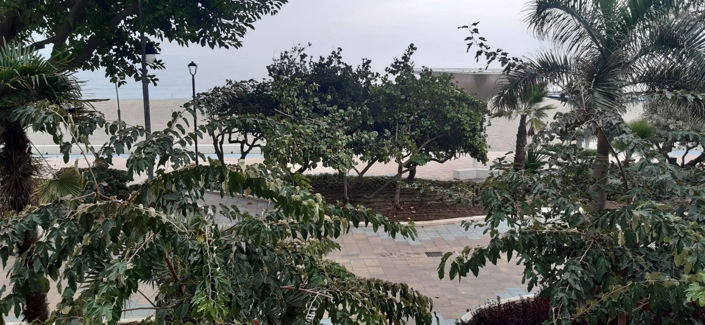 Image No.25-Propriété de 2 chambres à vendre à Estepona