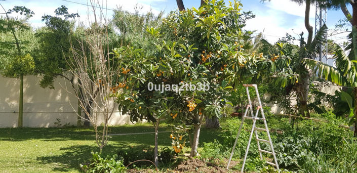 Image No.22-5 Bed Property for sale