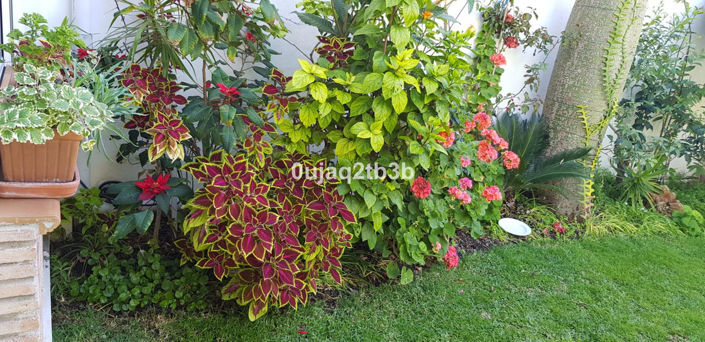 Image No.24-5 Bed Property for sale