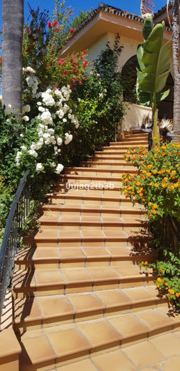 Image No.25-5 Bed Property for sale