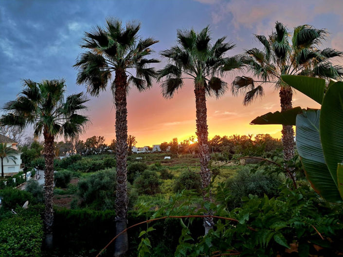 Image No.41-Propriété de 4 chambres à vendre à Estepona