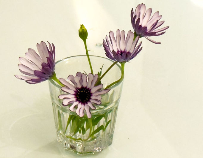 Image No.43-7 Bed Property for sale