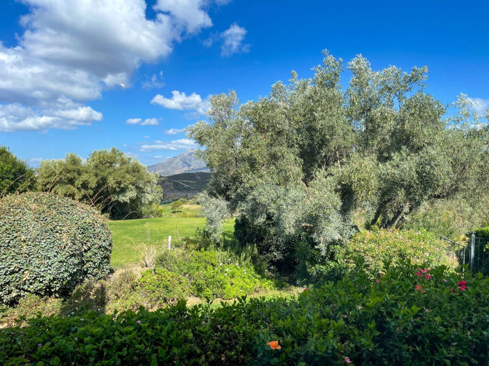 Image No.8-7 Bed Property for sale