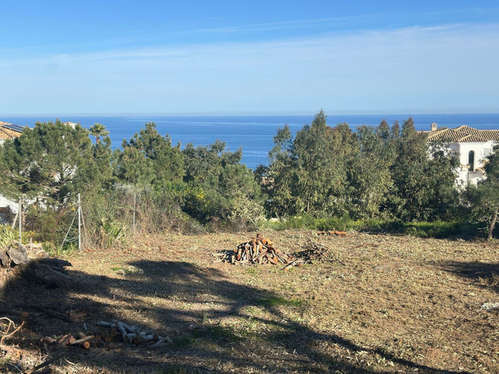 Image No.2-Propriété à vendre à Manilva