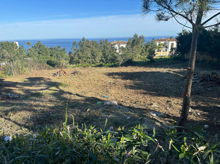 Image No.4-Propriété à vendre à Manilva