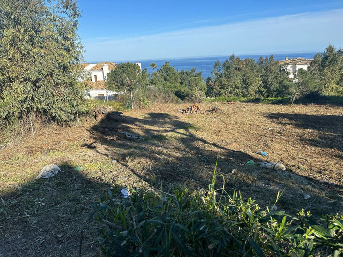 Image No.5-Propriété à vendre à Manilva