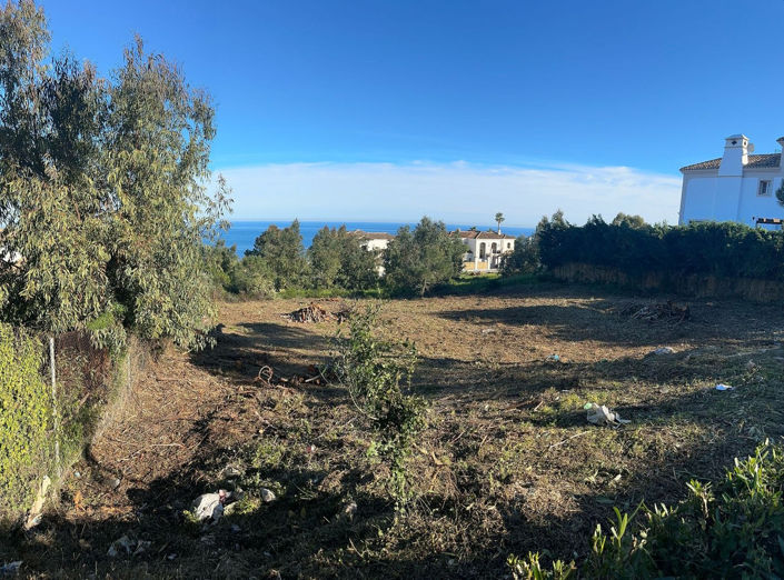 Image No.6-Propriété à vendre à Manilva